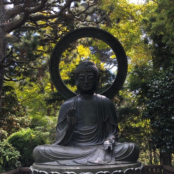 Meet your Posher, Vida - Picture 5 of 14